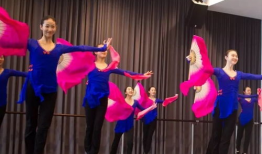 古典舞蹈视频大全,穿越时空的舞蹈艺术精华集锦